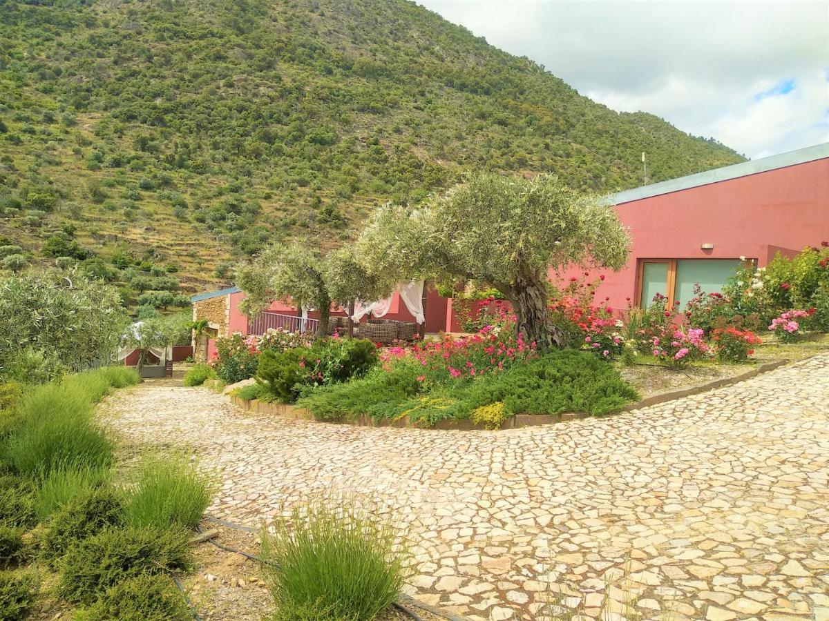 Quinta Vale De Carvalho Guest House Pinhal do Douro Exterior foto